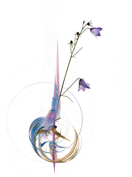 134 - FRACTALS AND FLOWERS 2011-04 - SCHMIT JEAN-PAUL - luxembourg.jpg